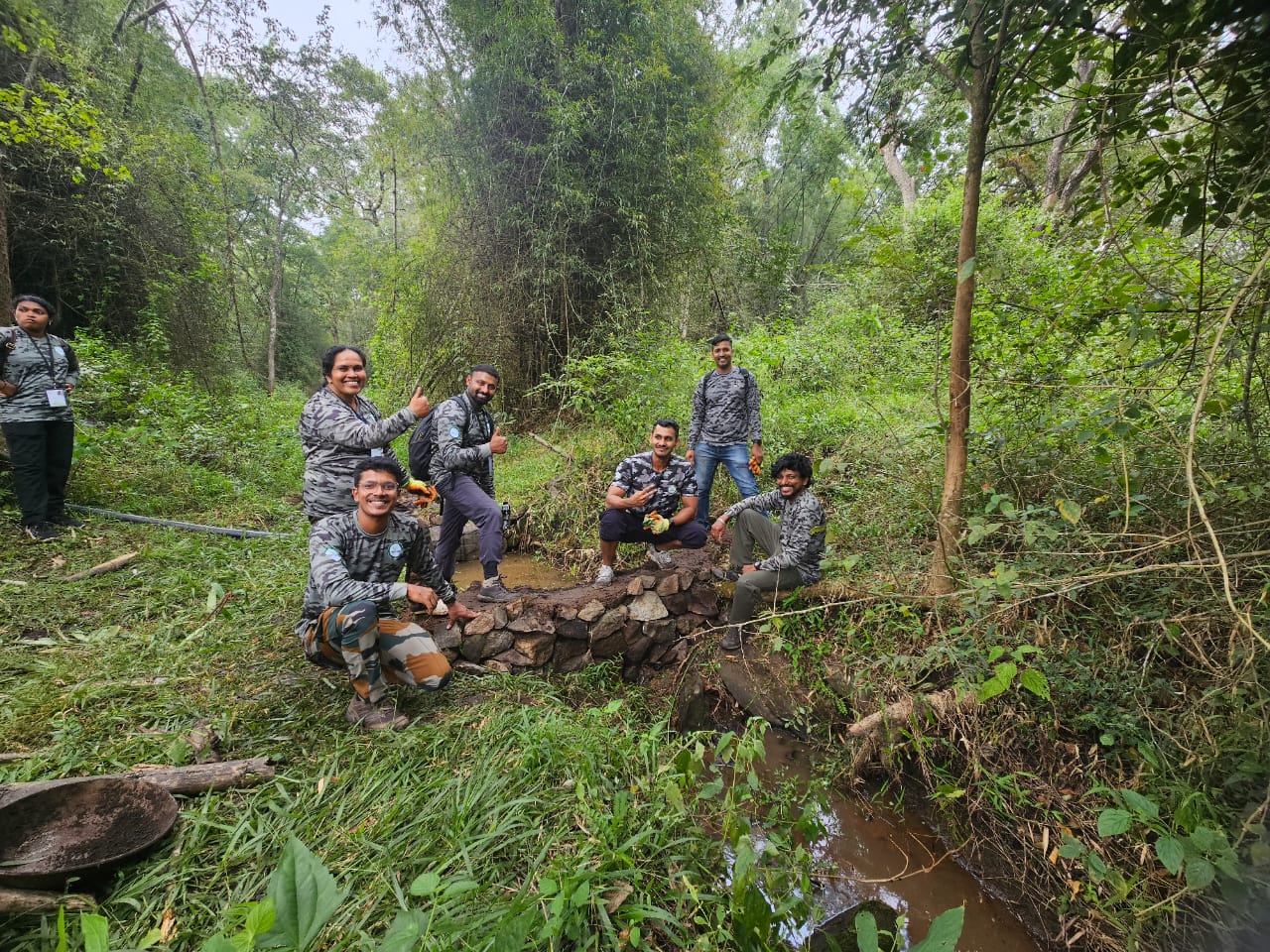 Forest restoration